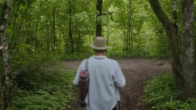 Back tracking shot of male tourist hiking with trekking poles in green forest
