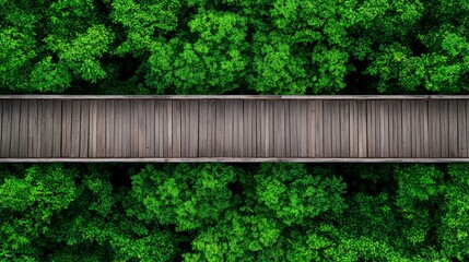 Wooden Pathway Through Lush Green Forest