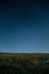 Starry Night Sky Over Field