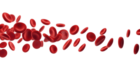 Flowing red blood cells isolated on transparent or white background, png