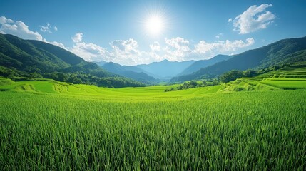 Obraz premium vibrant green rice field stretching endlessly towards the horizon under a clear blue sky evoking feelings of tranquility and abundance showcasing the beauty of natures bounty