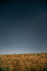 Starry Night Sky Over Field