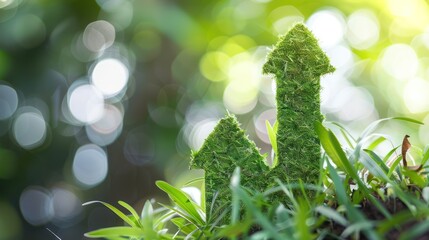 Green Arrows of Growth