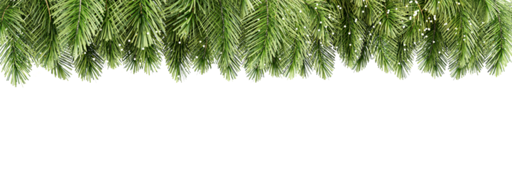 Cut out oforder of green christmas tree decoration isolated on transparent