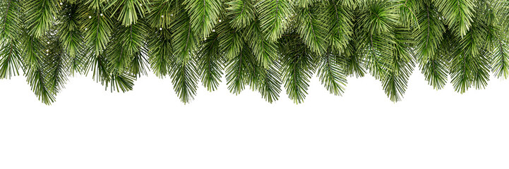 Obraz premium Cut out oforder of green christmas tree decoration isolated on transparent