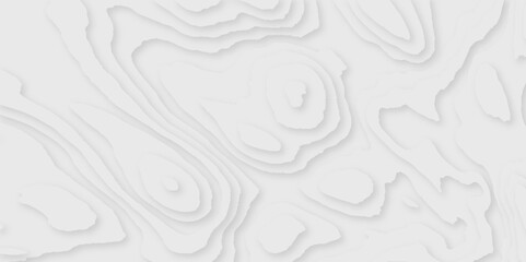 Fototapeta premium Abstract wavy line 3d papercut layers background vector minimal topography, light element shadow landscape wave abstract minimal modern geometric papercut style origami background.