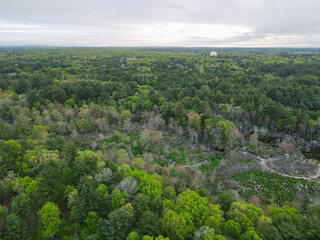 view of forest with horizon on cloudy day by drone