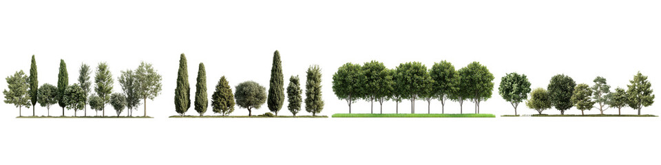 Obraz premium Row of Green Trees in Perspective