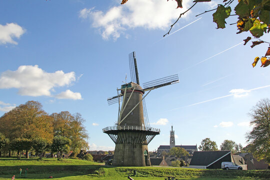 a beautiful townscape of the dutch fortified city Hulst with a tall tower mill at a green stronghold with trees and the basilica in the background