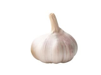 Side view of white garlic bulb isolated on white background with clipping path in png file format