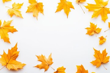 Autumn season abstract background. Yellow maple leaves round frame on white surface. Copy space.