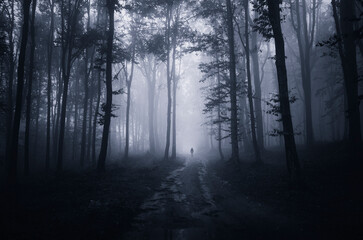dark fantasy forest with man silhouette at night
