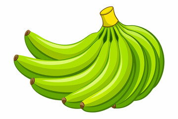 Green bananas isolated on white