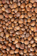 Nuts background. Hazelnut food. Kernel raw seed. Hazel nut