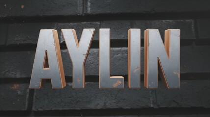 Metallic Signage: A bold, industrial-style 'AYLIN' logo in silver against a textured black backdrop, ideal for branding or design projects.