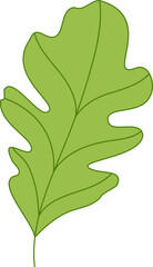 simple illustration of leaf