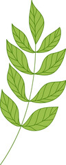 simple illustration of leaf