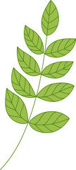 simple illustration of leaf