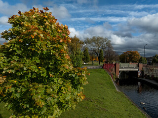 autumn in the city park
