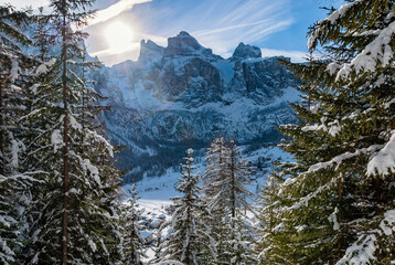 View through the forest towards the Sella group mountain while hiking above the village Colfosco in the Dolomites in winter
