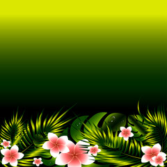Monstera leaves, palm leaves and flowers on a green background