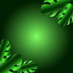 Monstera leaves on green background