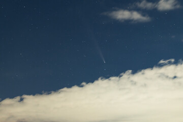 Fototapeta premium Comet C/2023 /A3 Tsuchinshan-Atlas at the starry sky.
