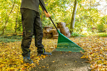 Ein Mann mit Rechen fegt Laub im Herbst zusammen