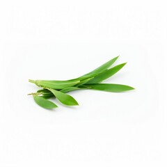 Fototapeta premium Fresh Green Pandan Leaves Isolated on White Background