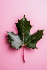 Fototapeta premium Vibrant canadian maple leaf on pastel pink background: nature meets minimalist design