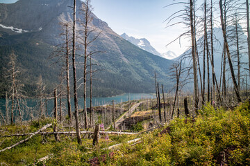 saint mary lake view from Siyeh pass trail at Glacier national park, Montana, USA. © Wichakorn