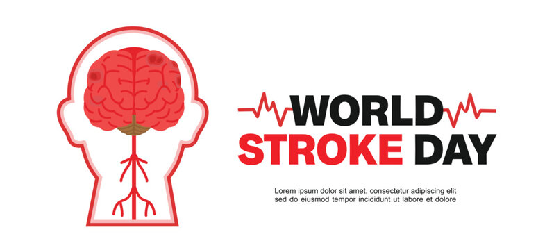 World Stroke Day, silhouette illustration of a head with a front view of a brain on a white background. Suitable for posters and banners