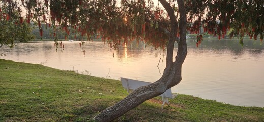 late afternoon in a park in front of the lake in Brazil