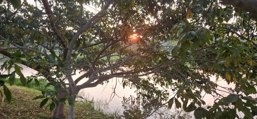 late afternoon in a park in front of the lake in Brazil