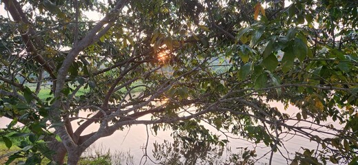 late afternoon in a park in front of the lake in Brazil