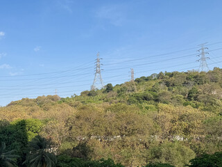 Dry forest on the hill with electrical tower and blue sky.