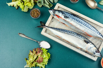 Fresh frozen mackerel.