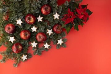 Christmas nobilis branches decorated with red apples and star-shaped cookies on a red background.