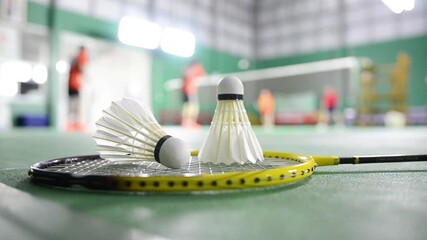 Badminton rackets and white cream badminton shuttlecocks after playing or after games on green floor in indoor badminton court soft focus concept for badminton lovers around the world.