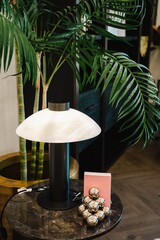 Table Lamp with Potted Plant in Background