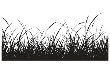 Natural Grass Silhouette Vector Graphic