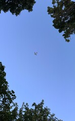 Plain in the Sky