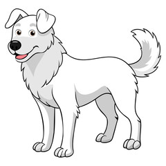 Akbash dog vector illustration isolated on white background in cartoon style.