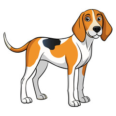 Anglo-Français de Petite Vénerie dog vector illustration isolated on white background in cartoon style.