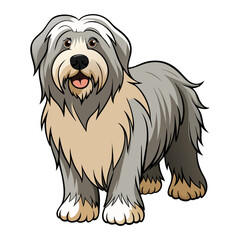 Bergamasco Shepherd Dog breed vector illustration isolated on white background in cartoon style.