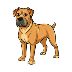 Boerboel dog breed vector illustration isolated on white background in cartoon style.