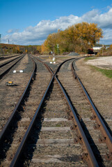 Fototapeta premium railroad tracks intersection with autumn trees 