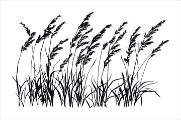 Natural Grass Silhouette Vector Graphic