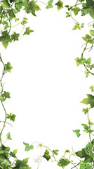 Lush greenery frame