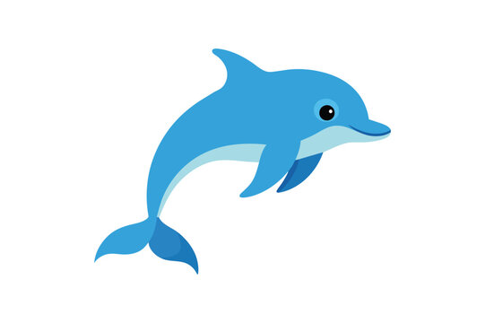 Beautiful dolphin vector art illustration.